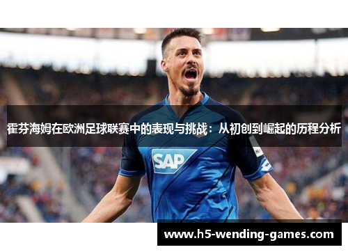 霍芬海姆在欧洲足球联赛中的表现与挑战:从初创到崛起的历程分析 霍芬海姆在欧洲足球联赛中的表现与挑战:从初创到崛起的历程分析