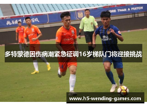 多特蒙德因伤病潮紧急征调16岁梯队门将迎接挑战